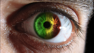 rasta_eye_by_vlrd-d4vqms3