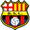 bsc_(1)