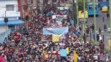 11-06-2021-marcha-indigena