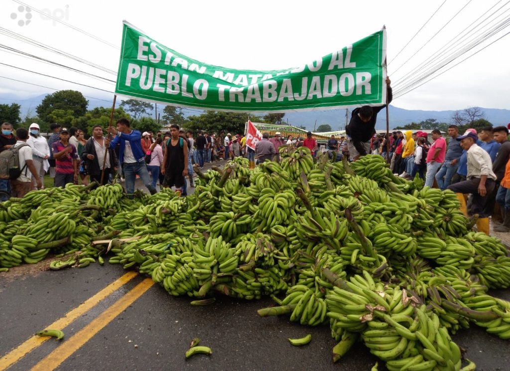 Bananeros advierten al Gobierno con un nuevo paro nacional